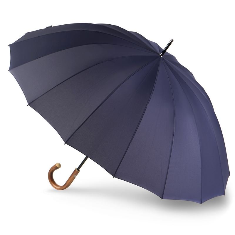 Зонт для двоих Bugatti Doorman Синий